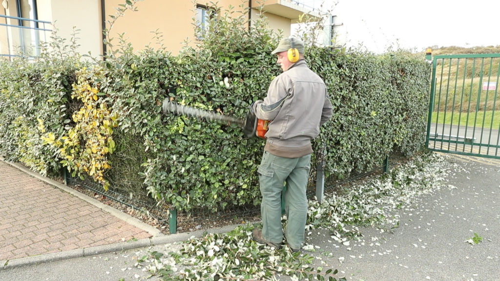 entretien d'un jardin par Nature et jardins service