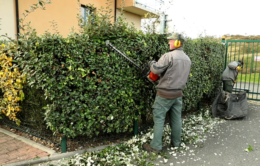 entretien d'un jardin par Nature et jardins service